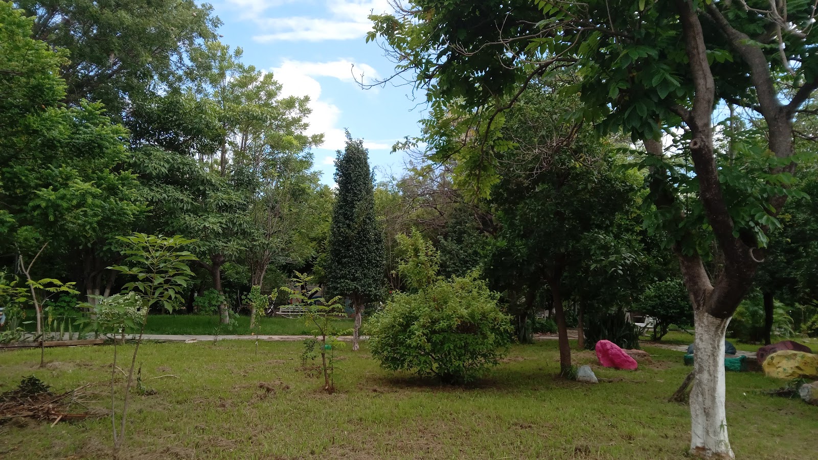 leetx-google-photo-80862-2 leetx-google-photo-80862-2