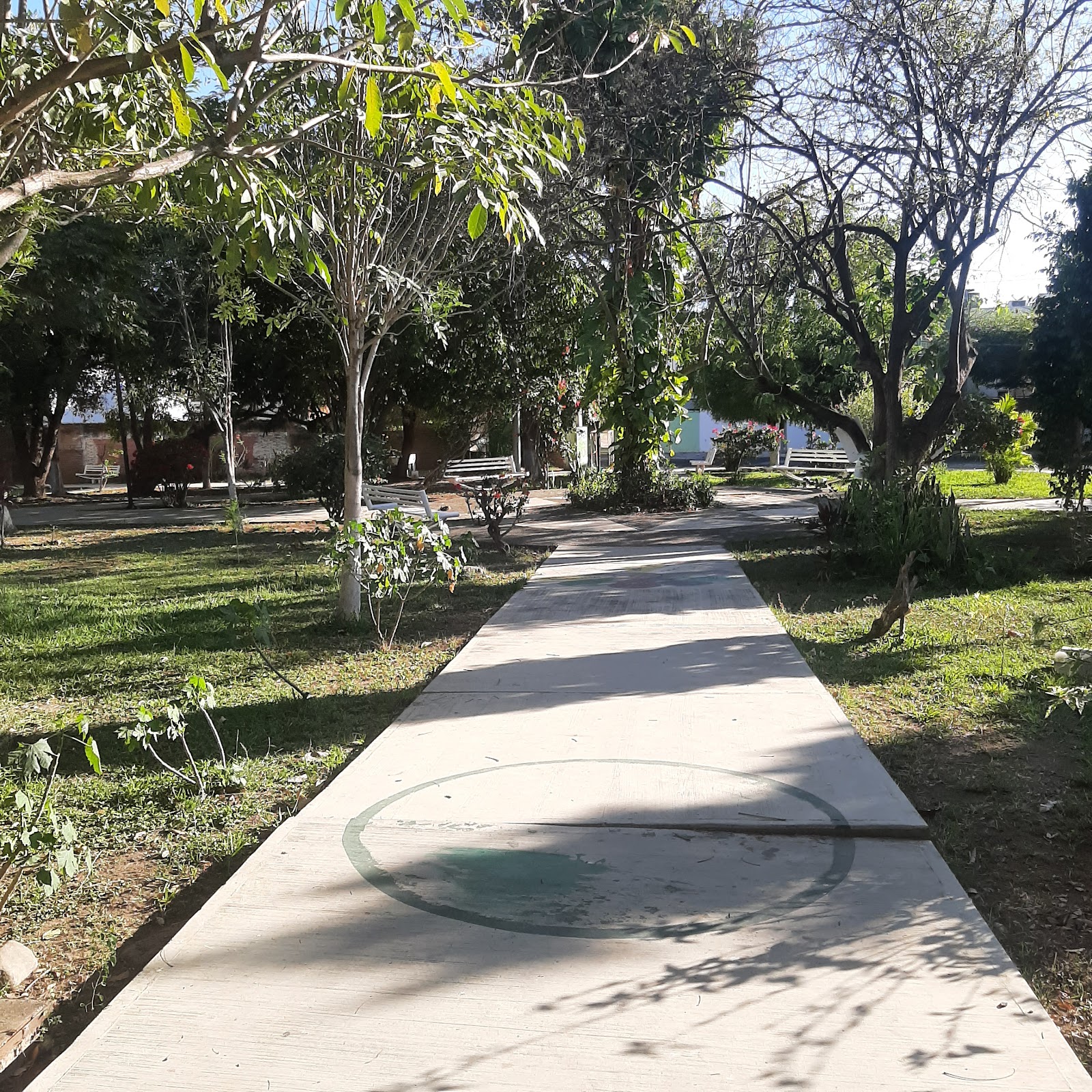 leetx-google-photo-80862-3 leetx-google-photo-80862-3