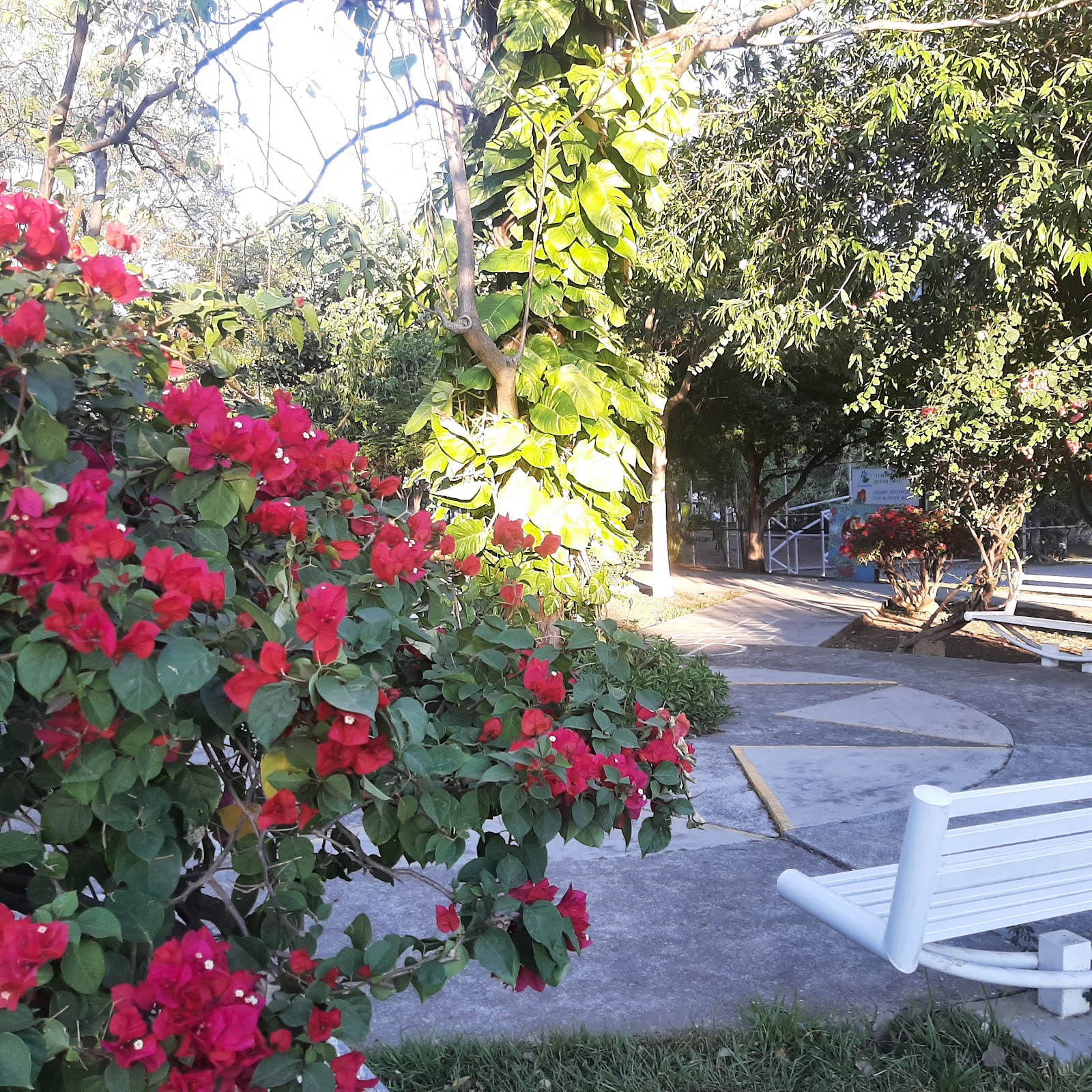 leetx-google-photo-80862-4 leetx-google-photo-80862-4