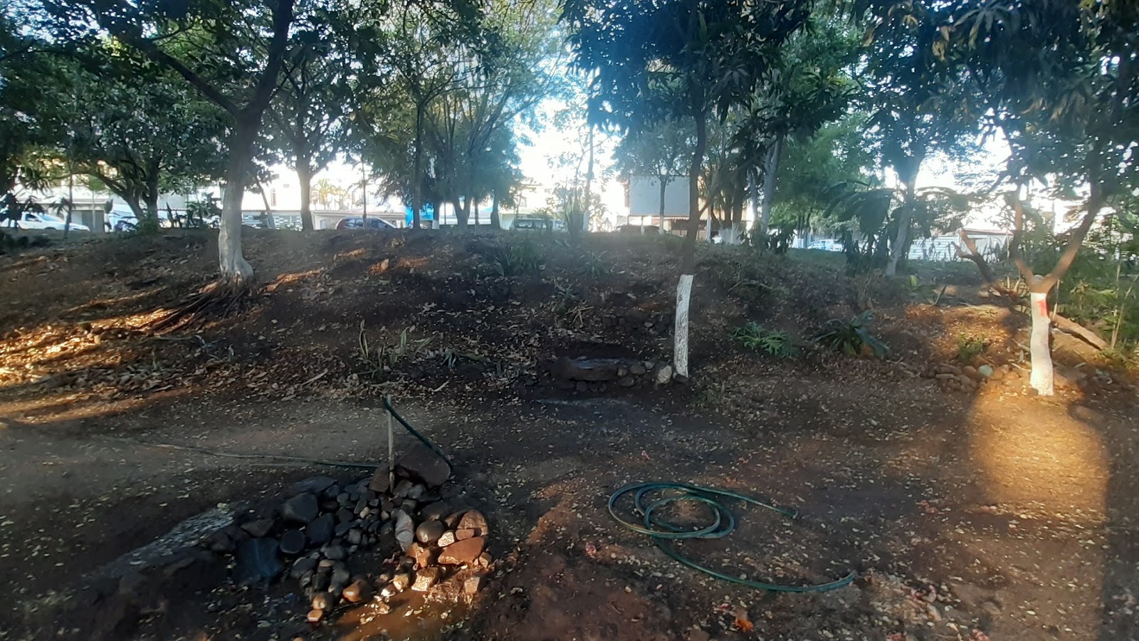 leetx-google-photo-80862-6 leetx-google-photo-80862-6