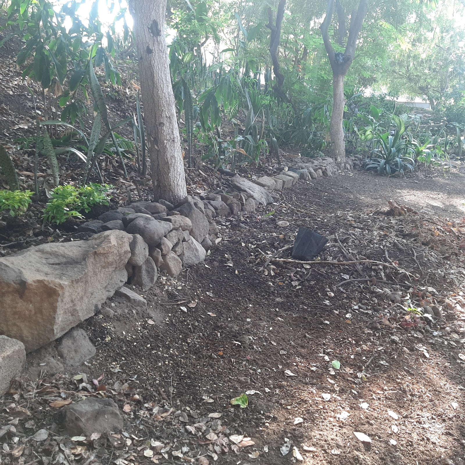 leetx-google-photo-80862-7 leetx-google-photo-80862-7