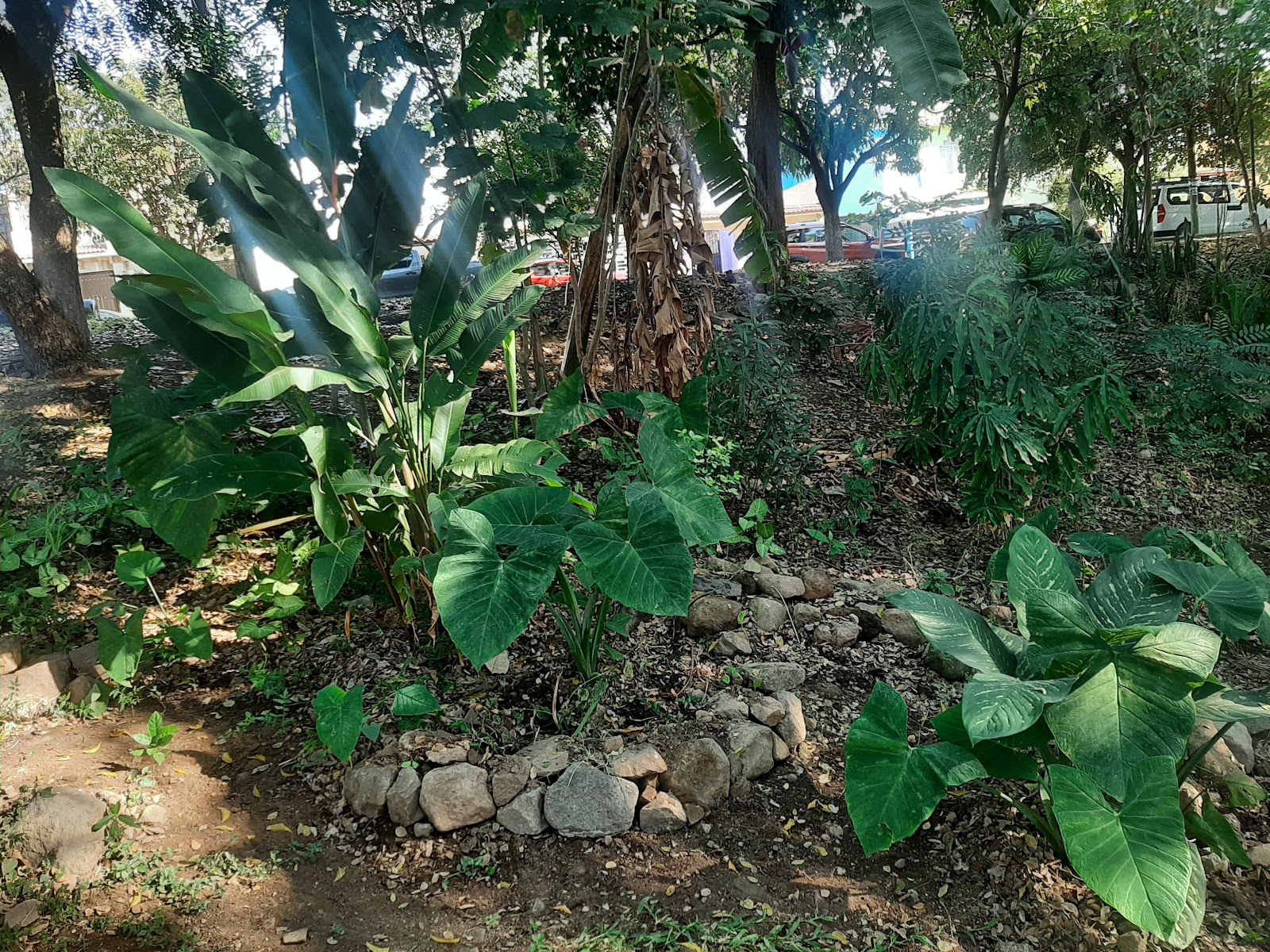 leetx-google-photo-80862-8 leetx-google-photo-80862-8