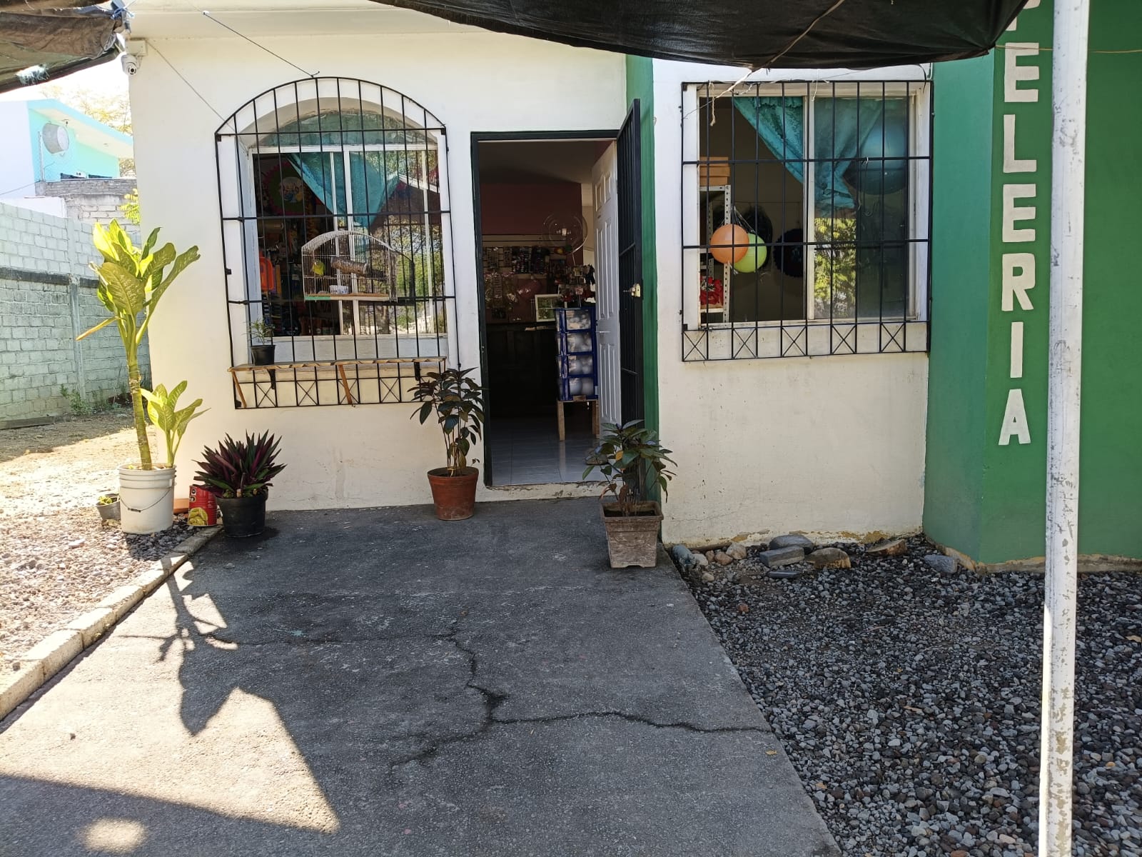 leetx-google-photo-80981-1