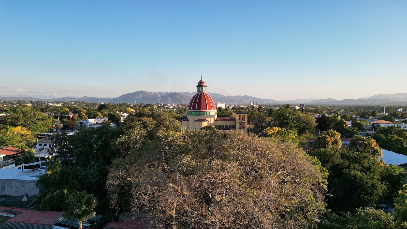 leetx-google-photo-81172-1