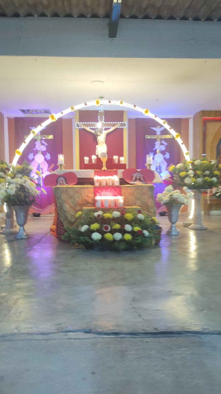 leetx-google-photo-81177-4 leetx-google-photo-81177-4