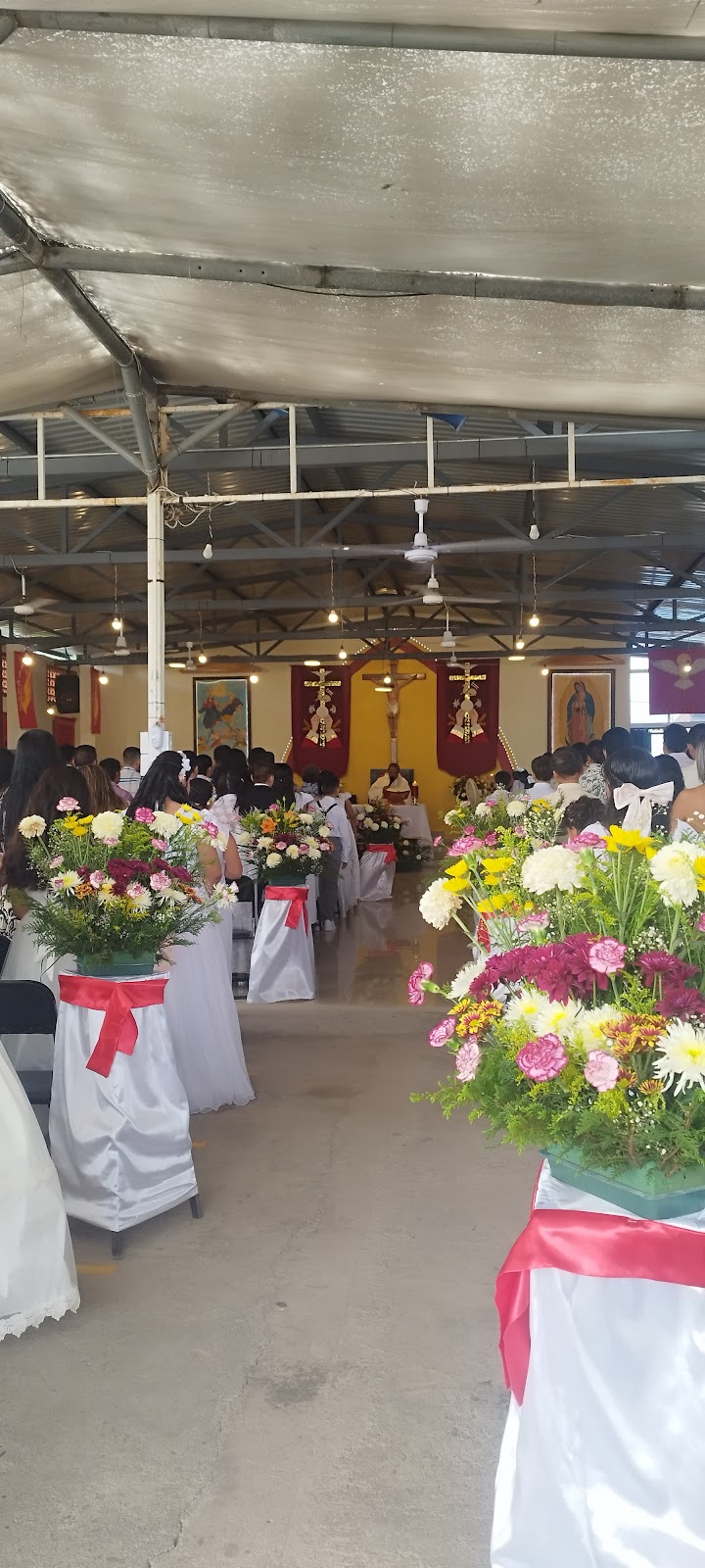 leetx-google-photo-81177-5 leetx-google-photo-81177-5