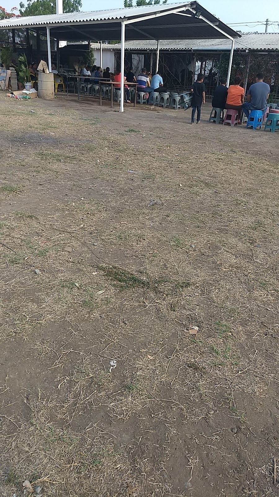 leetx-google-photo-81189-1