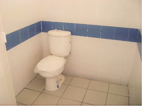 leetx-google-photo-81250-4 leetx-google-photo-81250-4