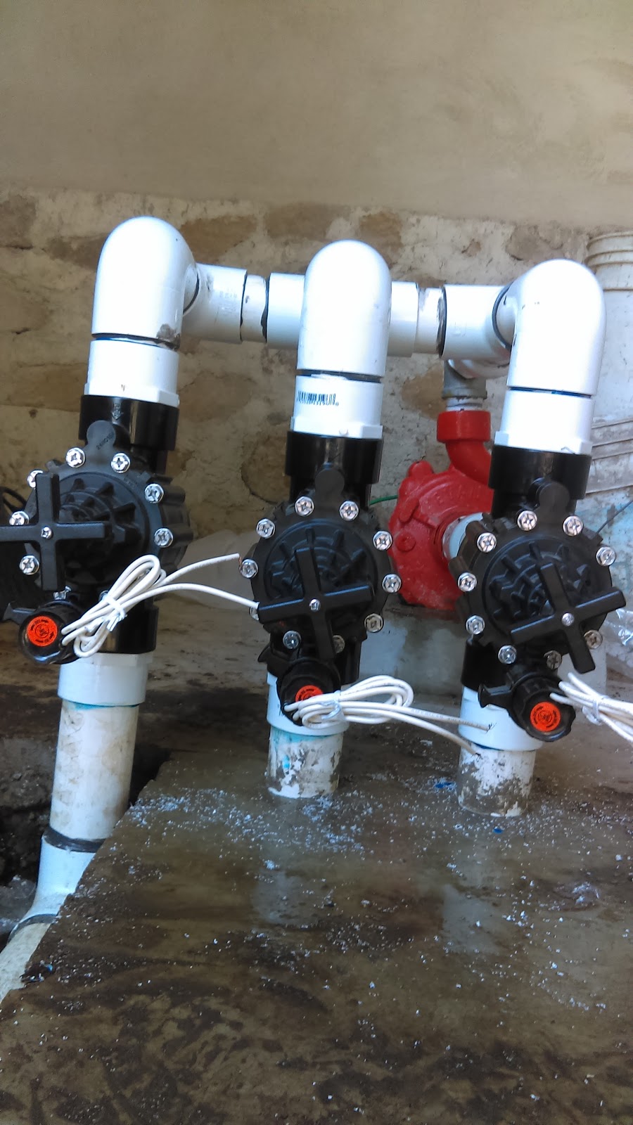 leetx-google-photo-81250-6 leetx-google-photo-81250-6