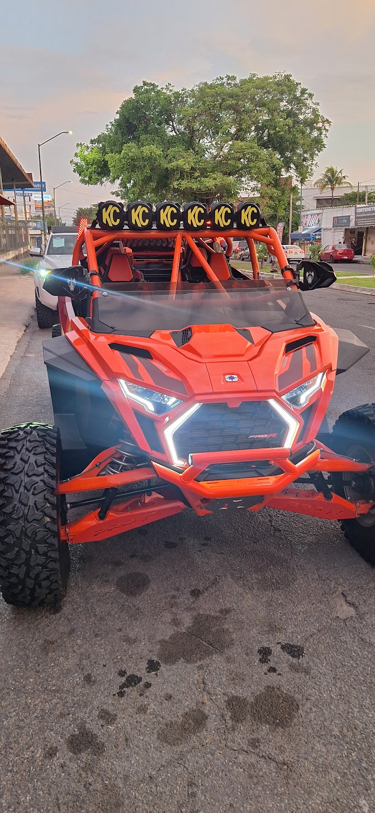 leetx-google-photo-81696-1