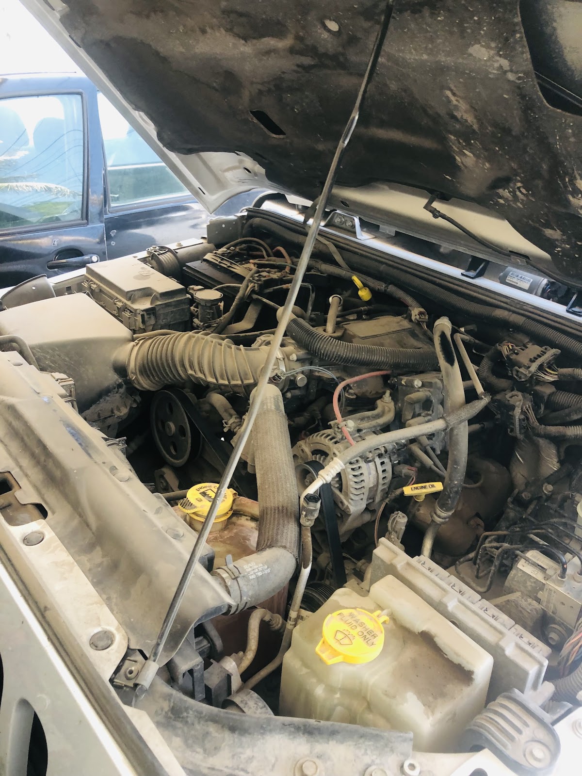 leetx-google-photo-81756-1