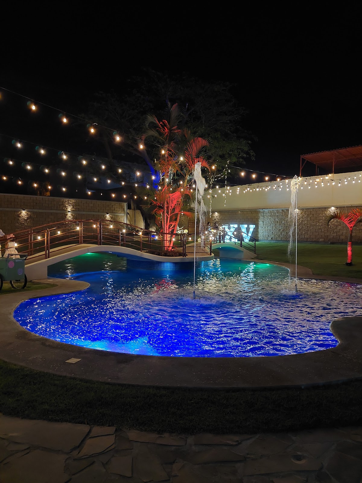 leetx-google-photo-81917-3 leetx-google-photo-81917-3