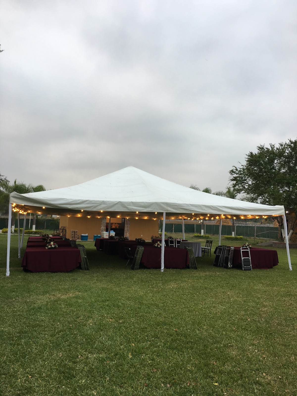 leetx-google-photo-81937-3 leetx-google-photo-81937-3