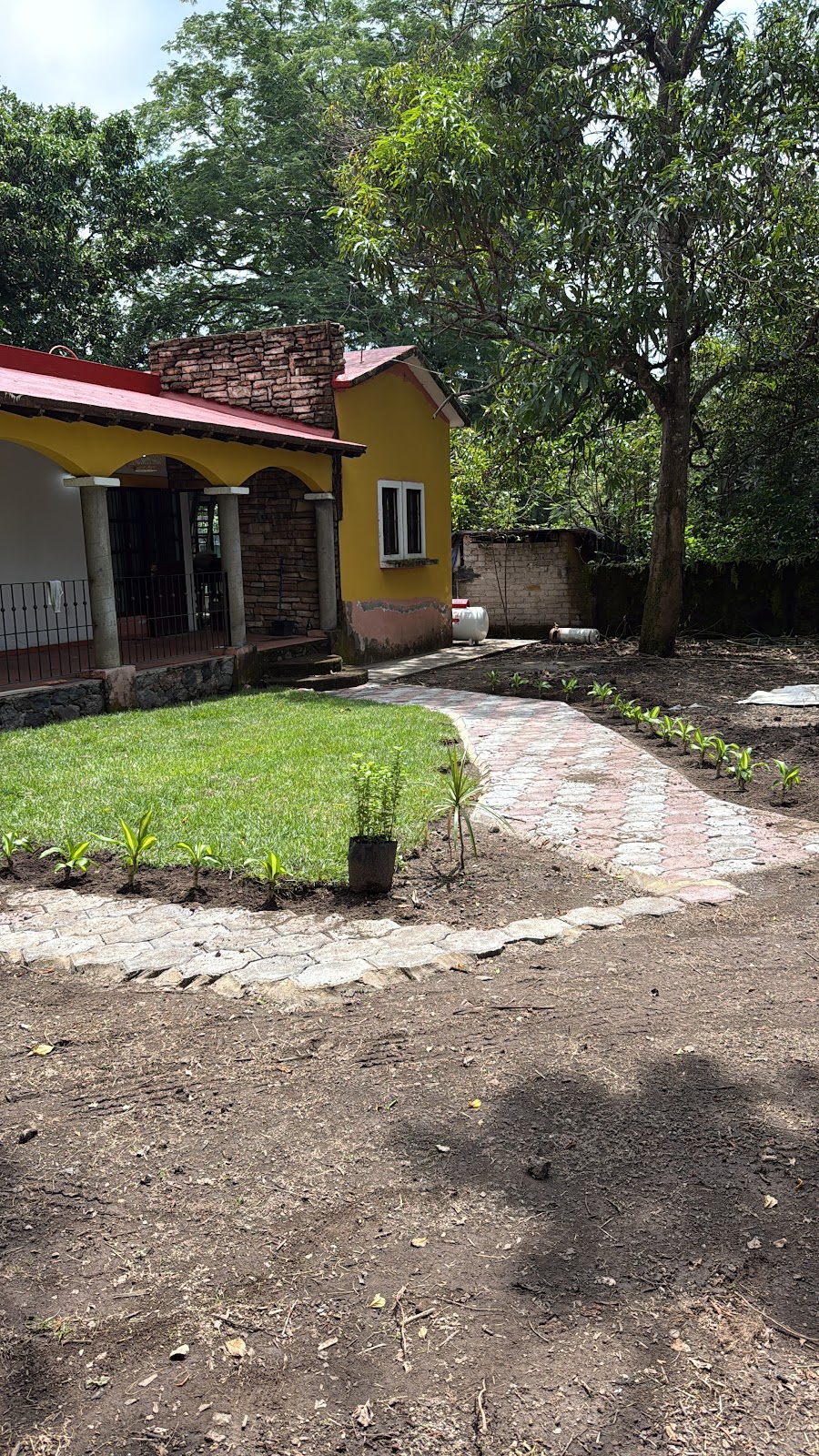 leetx-google-photo-81937-8 leetx-google-photo-81937-8