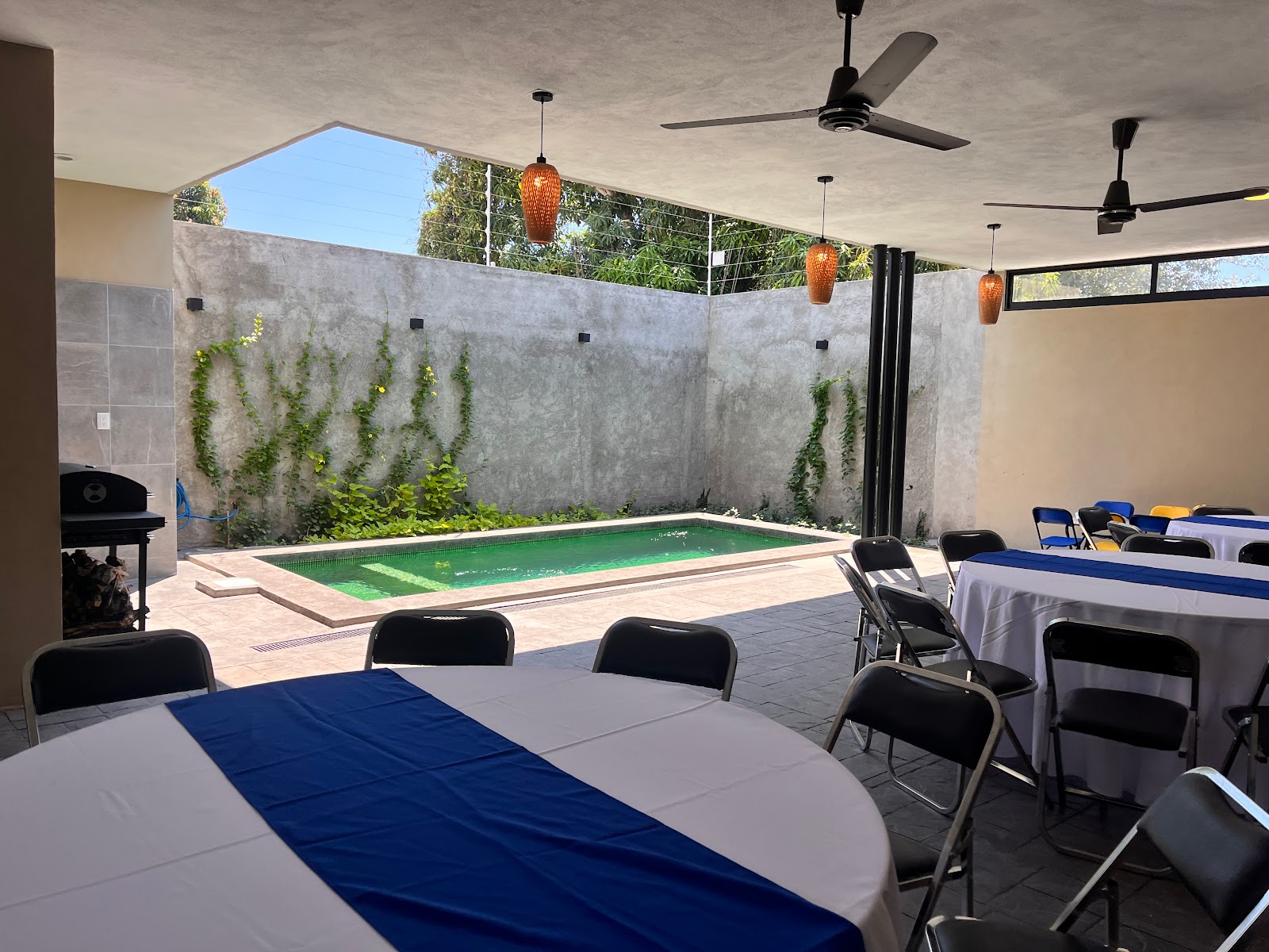 leetx-google-photo-81947-1