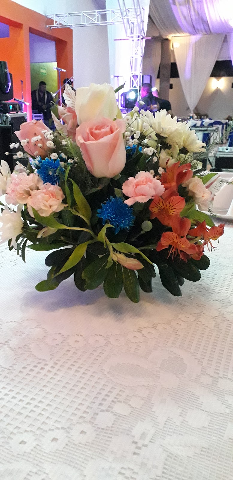 leetx-google-photo-81957-2 leetx-google-photo-81957-2