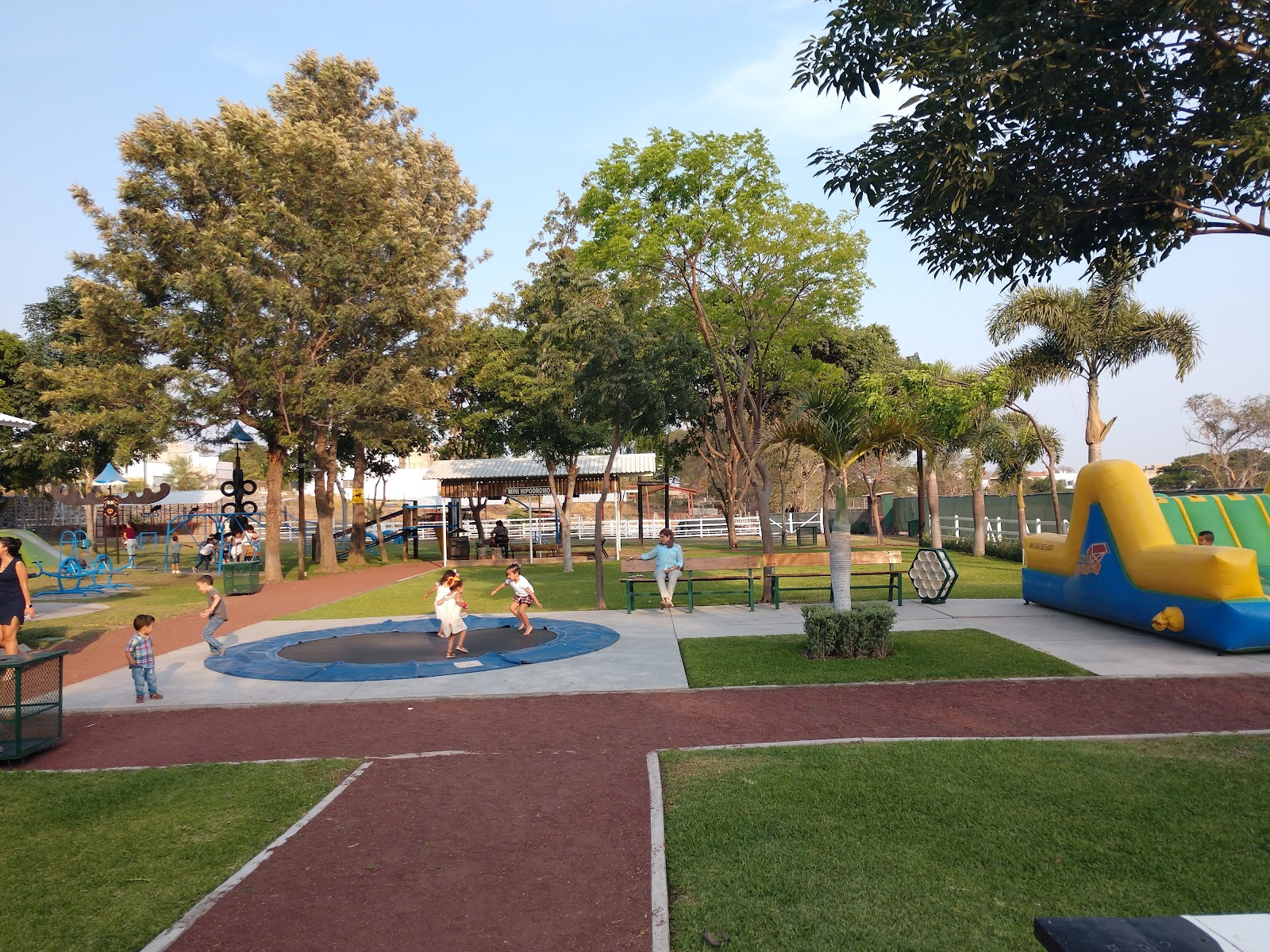 leetx-google-photo-82011-1