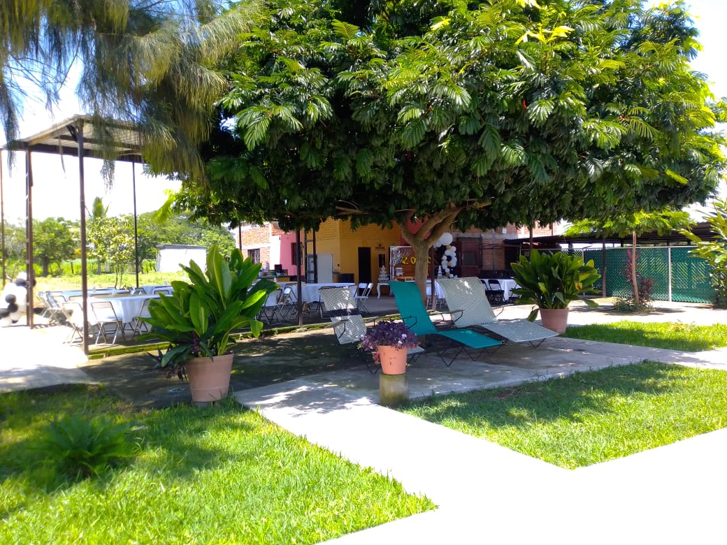 leetx-google-photo-82021-1