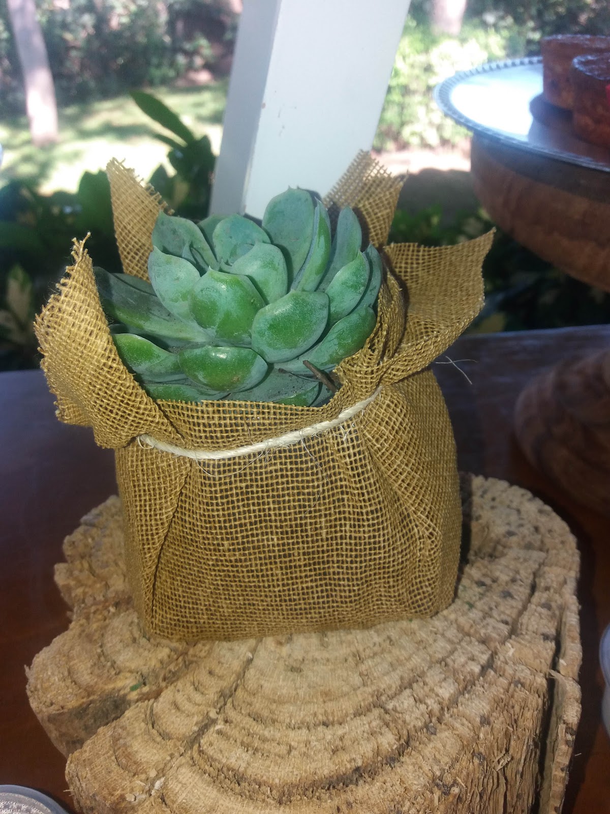 leetx-google-photo-82109-4 leetx-google-photo-82109-4