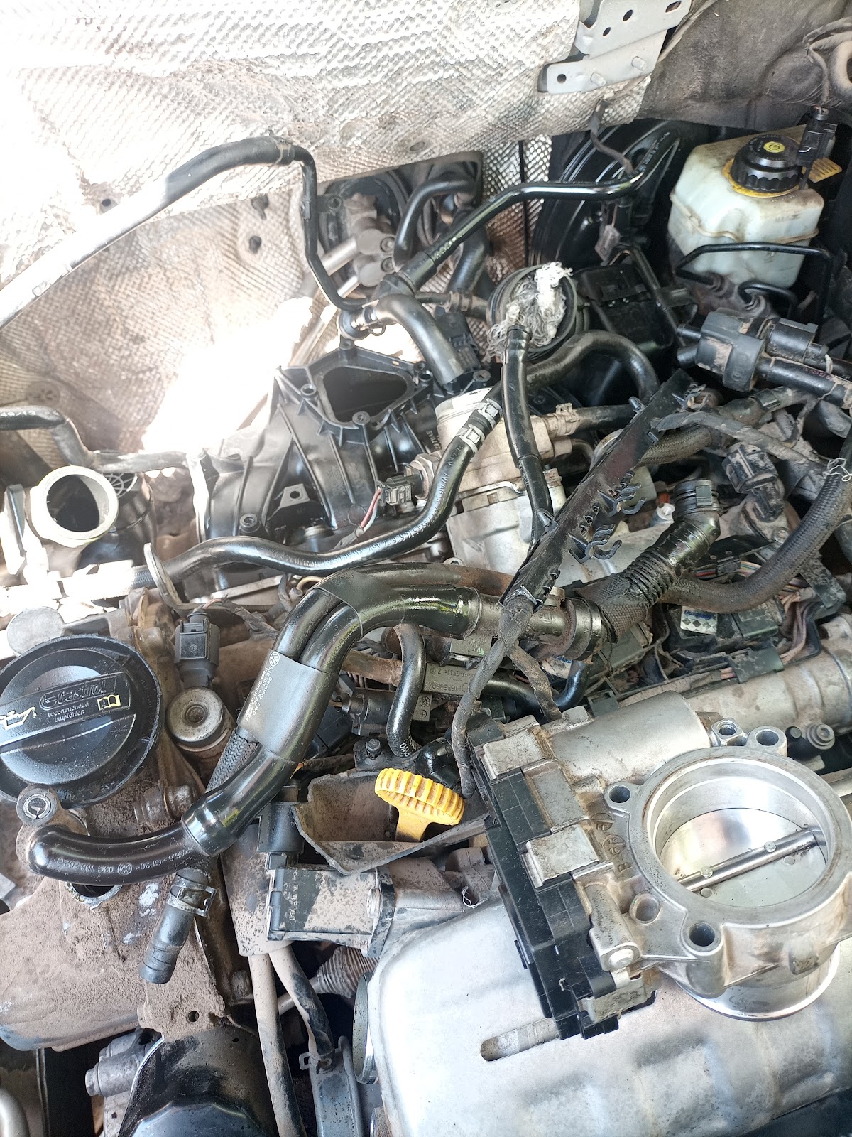 leetx-google-photo-82924-1