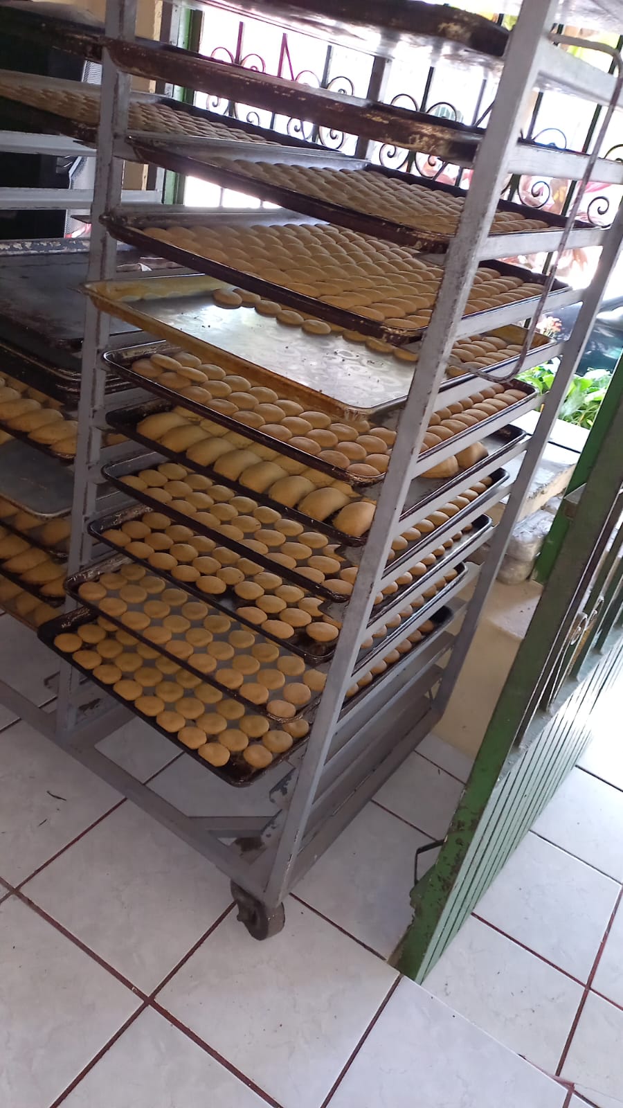 leetx-google-photo-83313-1