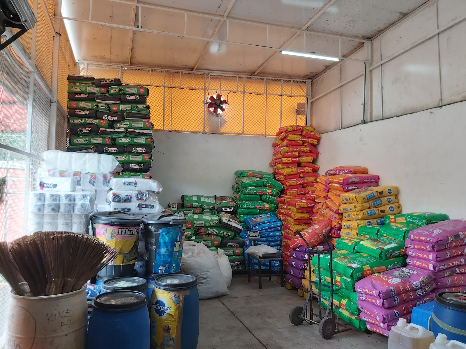 leetx-google-photo-83331-1