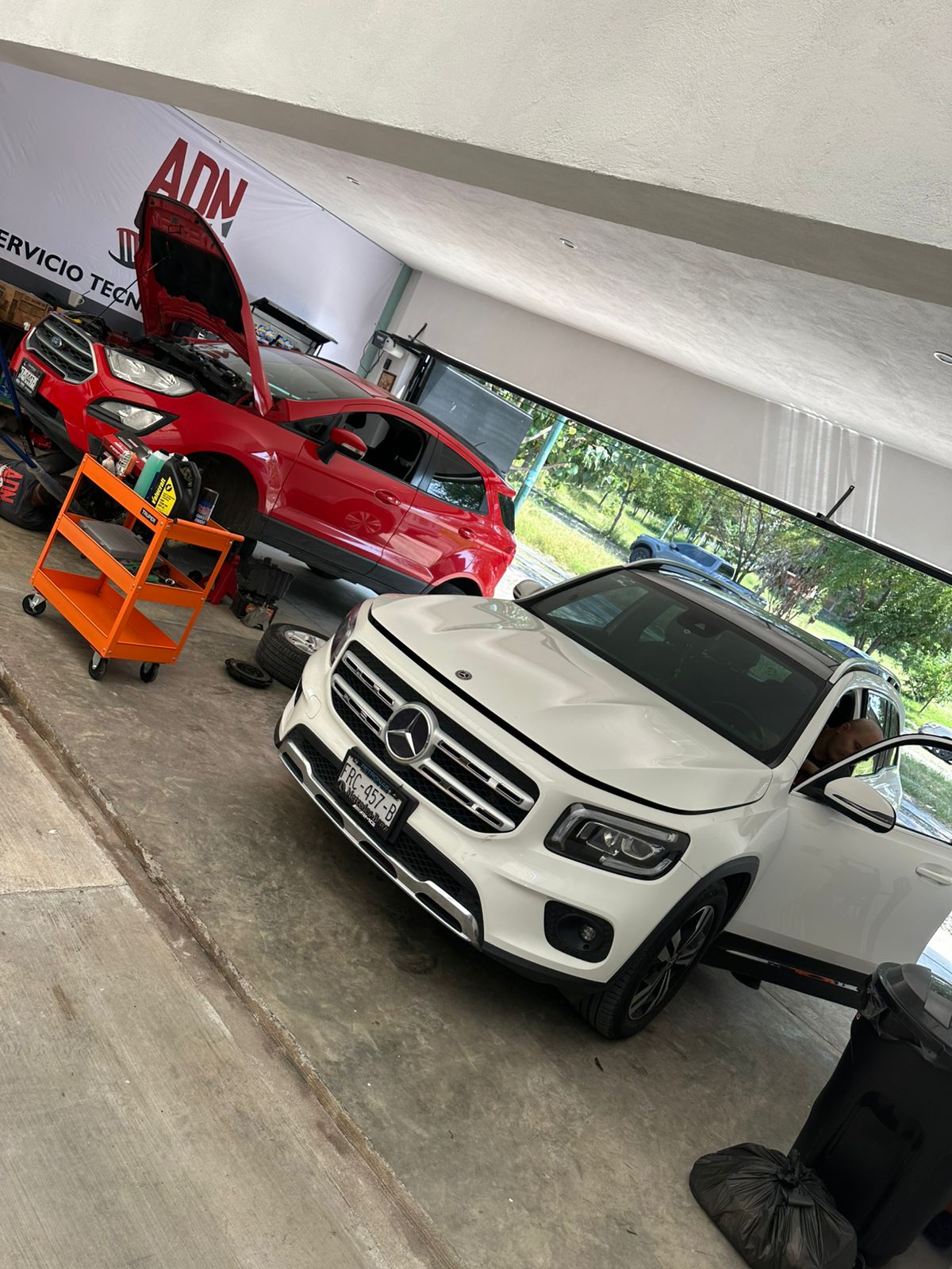 leetx-google-photo-83520-1