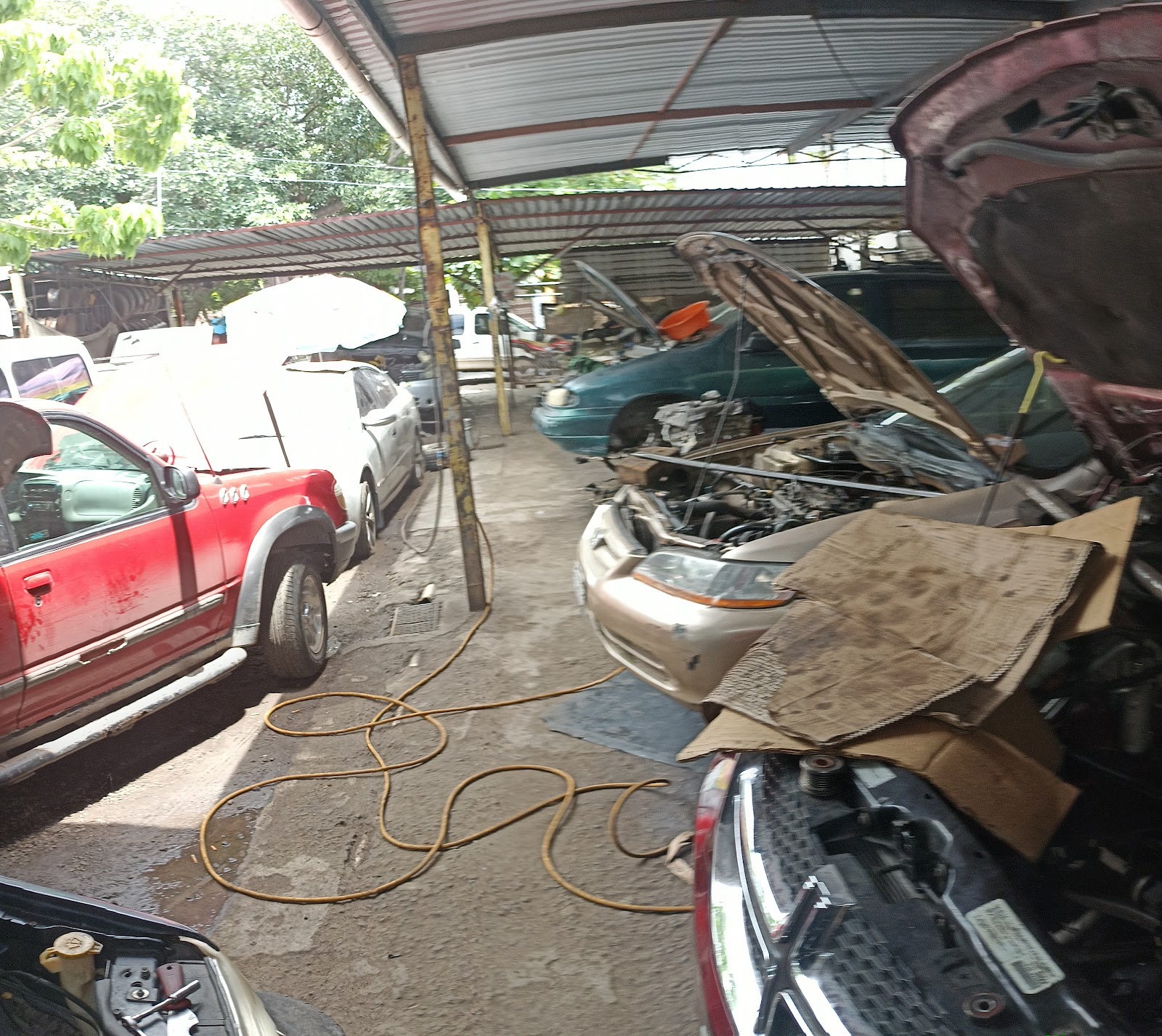 leetx-google-photo-83575-1