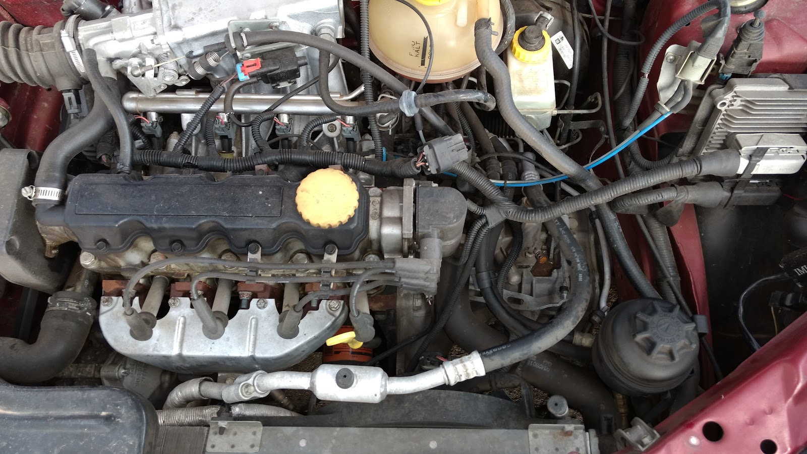 leetx-google-photo-83727-1