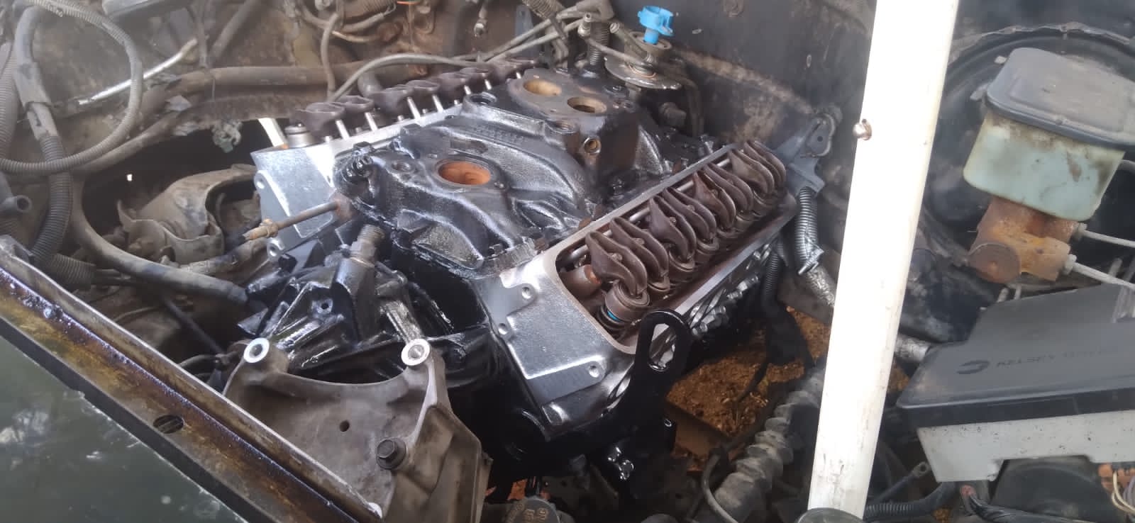 leetx-google-photo-83762-1