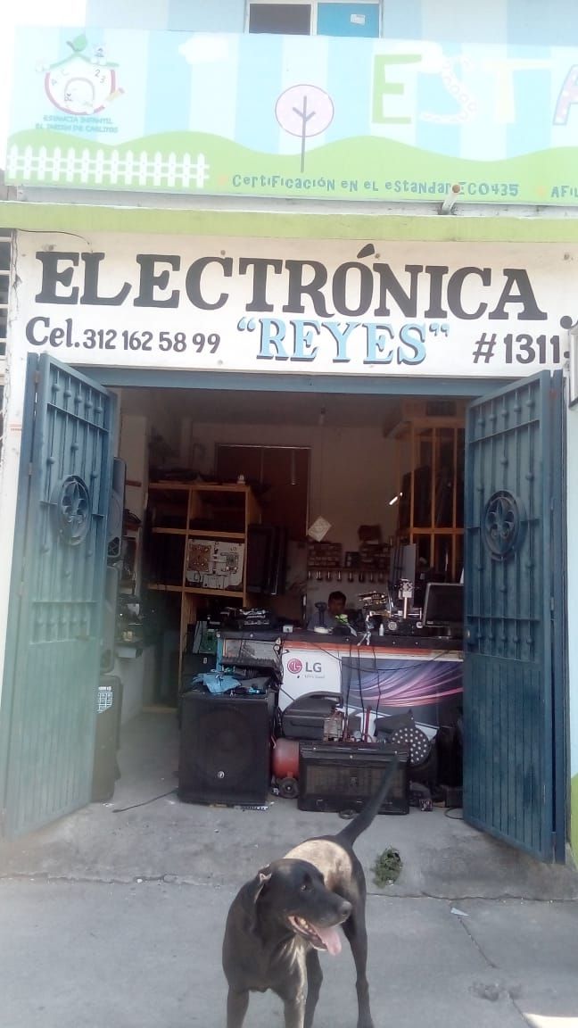 leetx-google-photo-83784-1