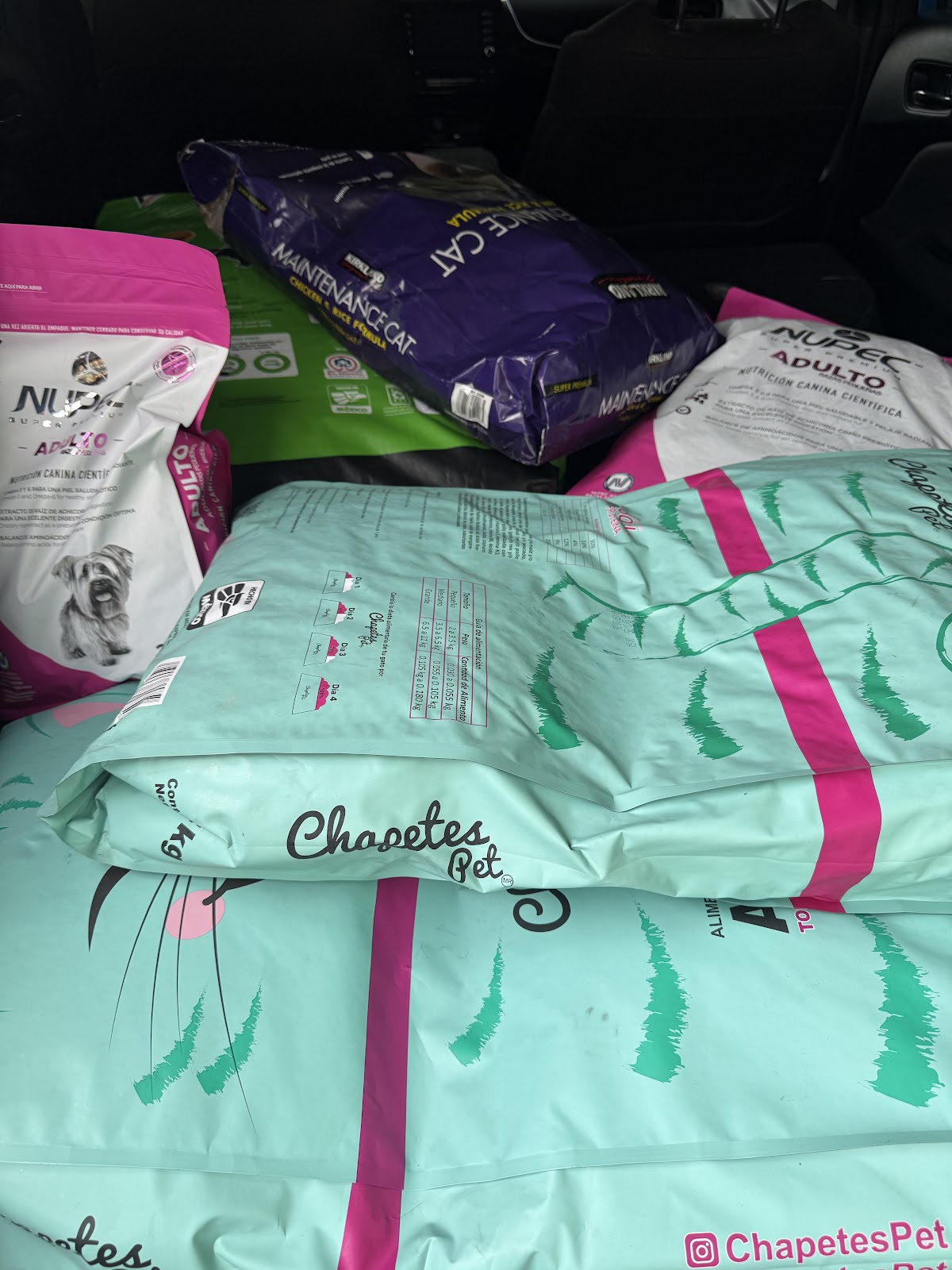 leetx-google-photo-83977-1