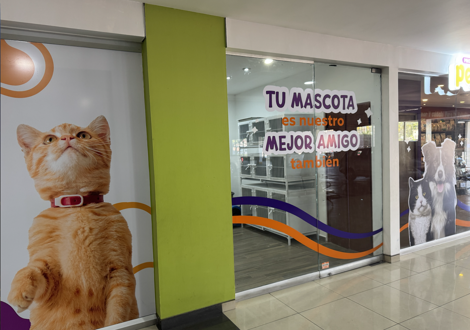 leetx-google-photo-83987-1