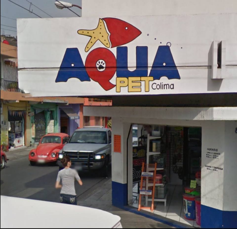 leetx-google-photo-84002-1