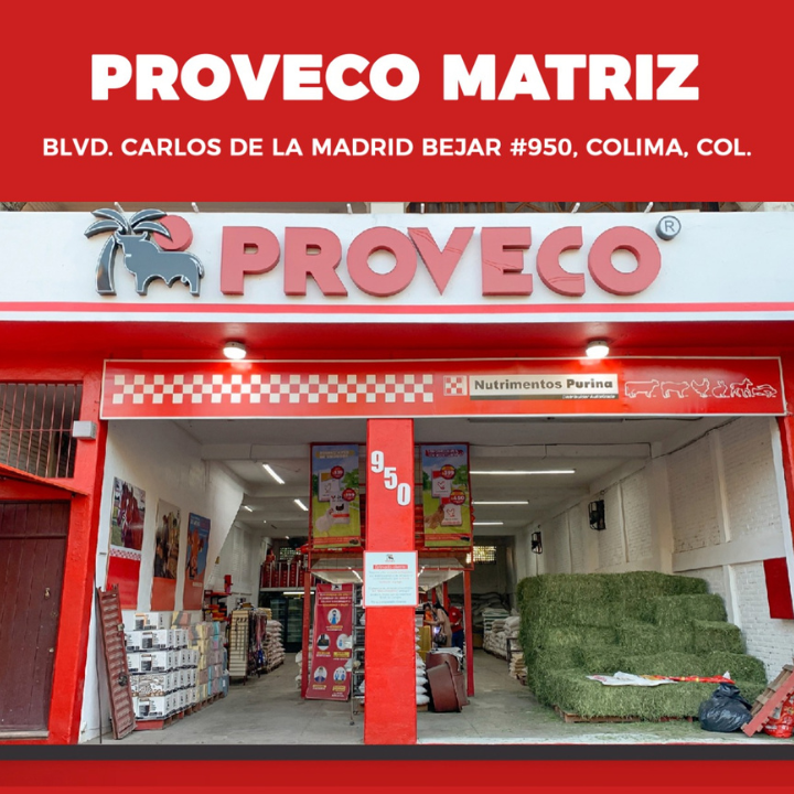 leetx-google-photo-84012-1