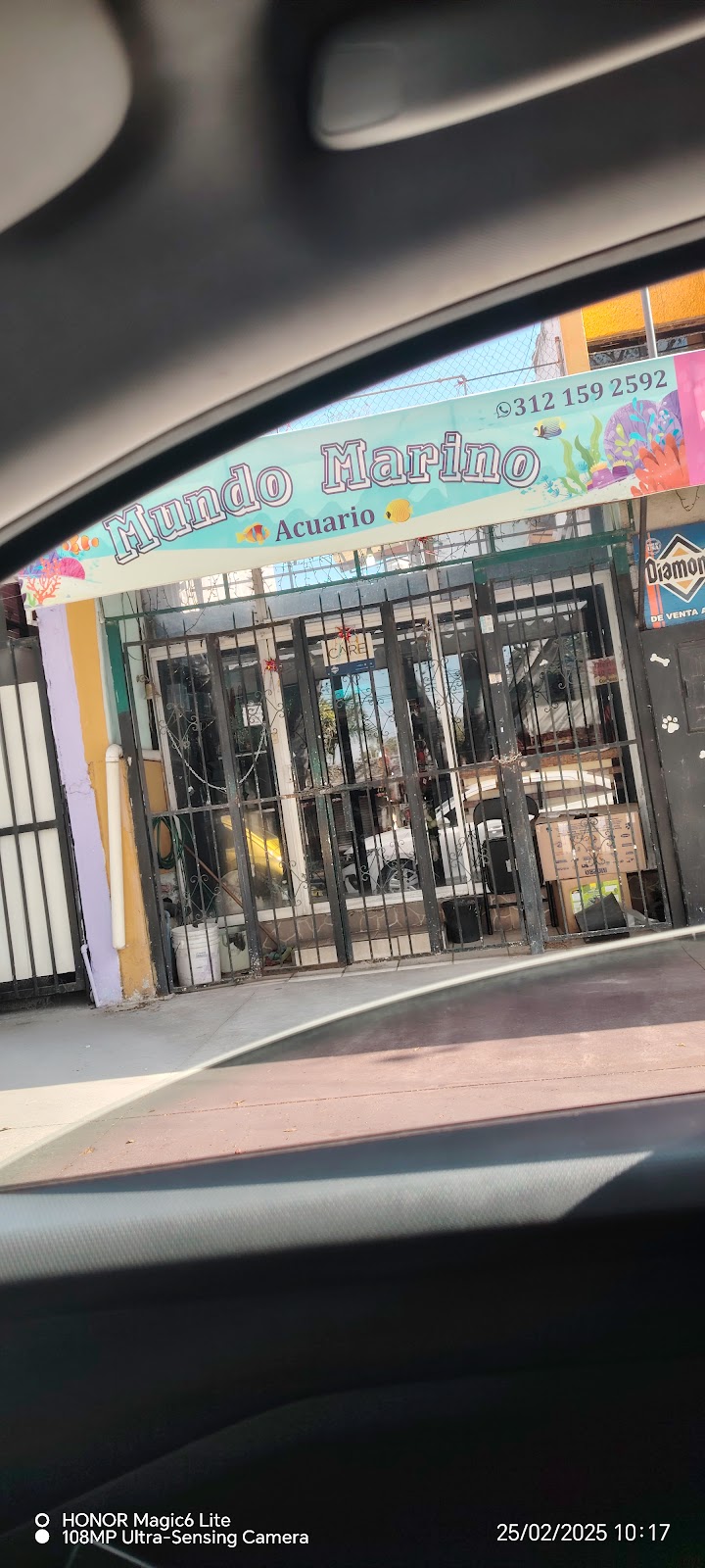 leetx-google-photo-84016-1