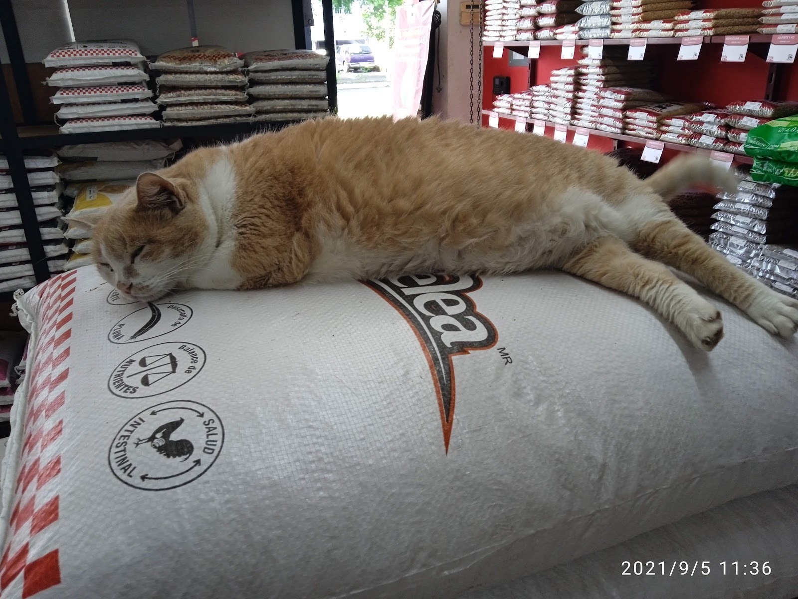 leetx-google-photo-84026-1