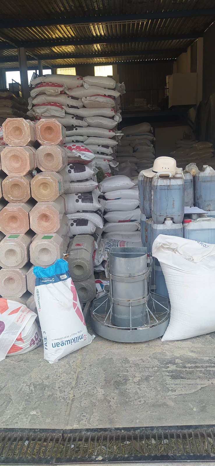 leetx-google-photo-84085-1