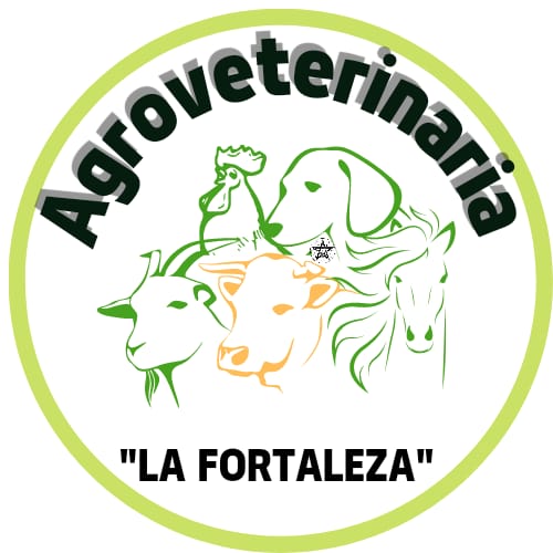 leetx-google-photo-84096-1