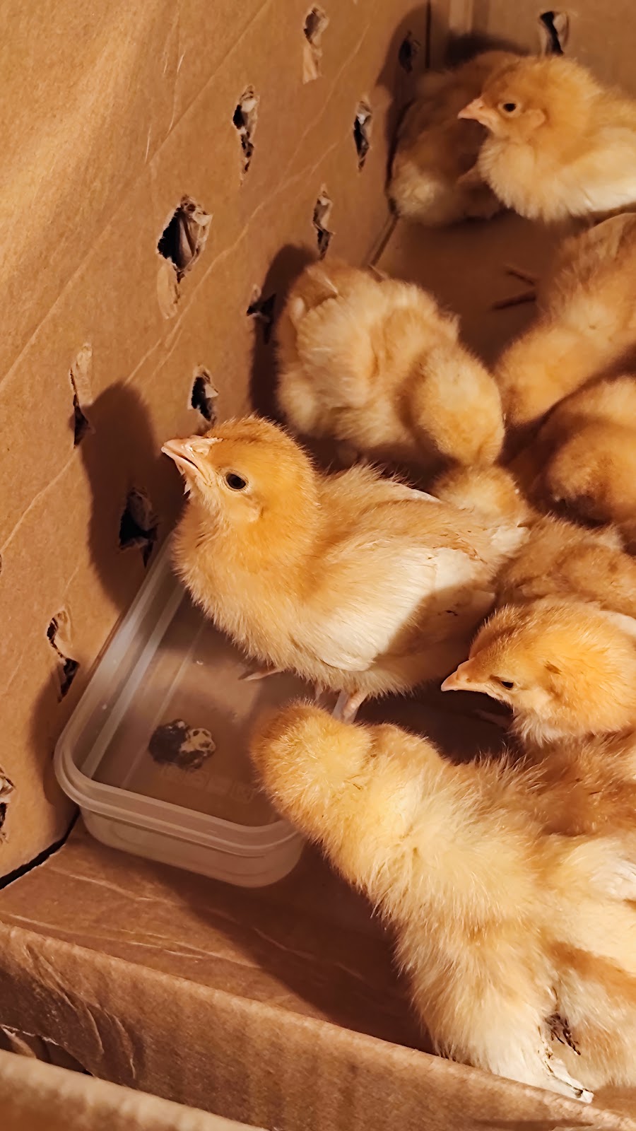 leetx-google-photo-84098-1