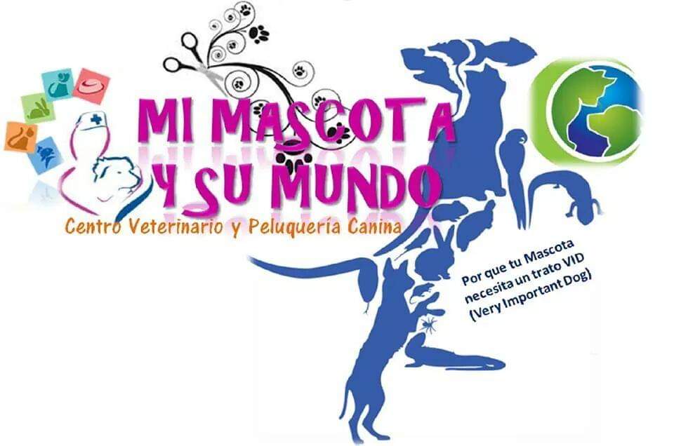 leetx-google-photo-84125-1