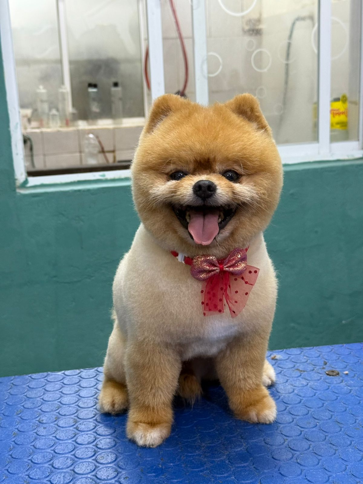 leetx-google-photo-84135-1