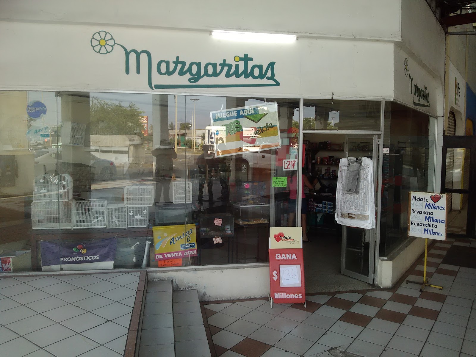 leetx-google-photo-84169-1