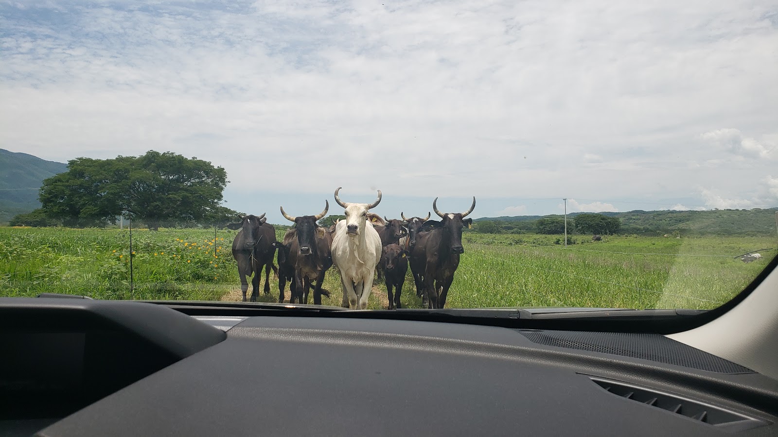 leetx-google-photo-84179-1