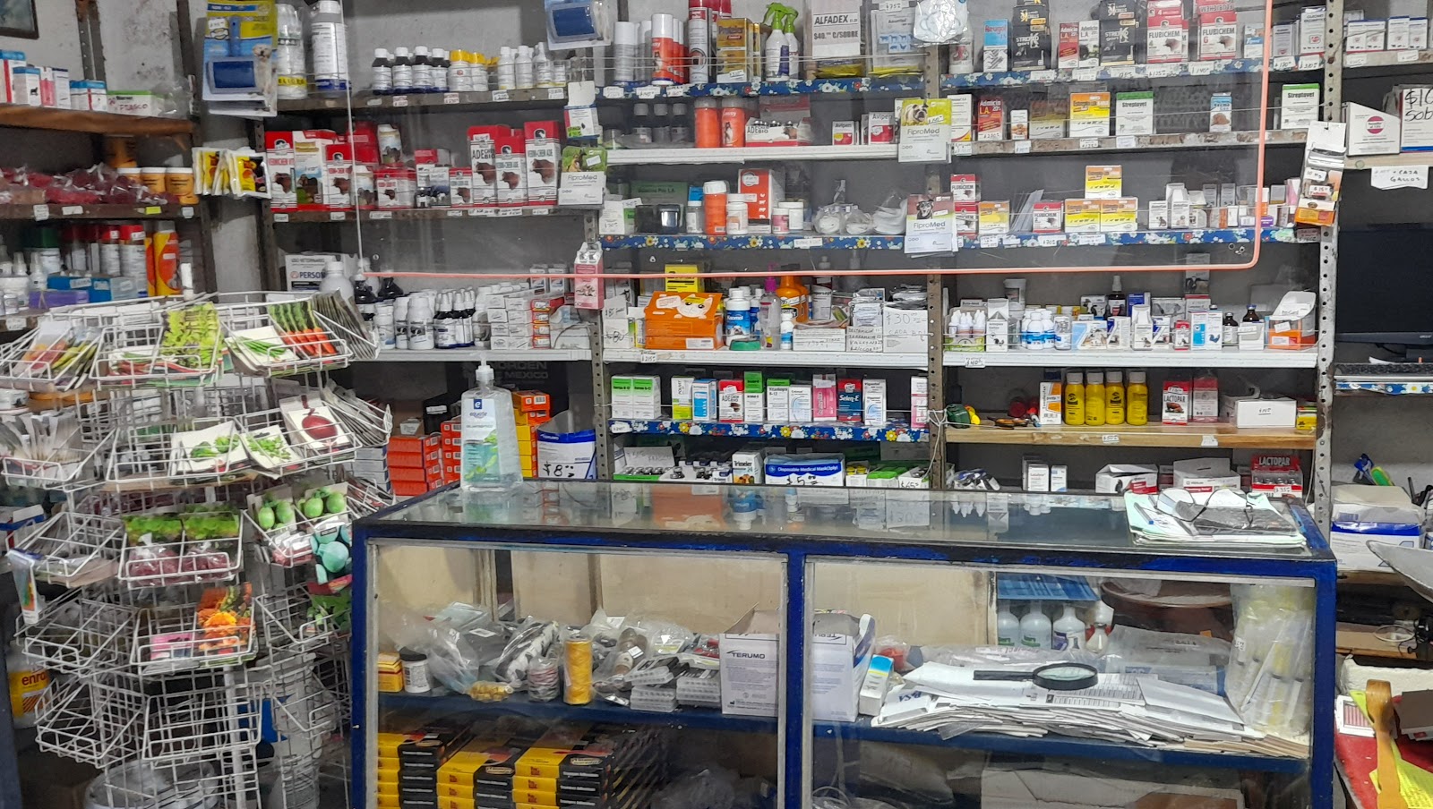 leetx-google-photo-84189-1