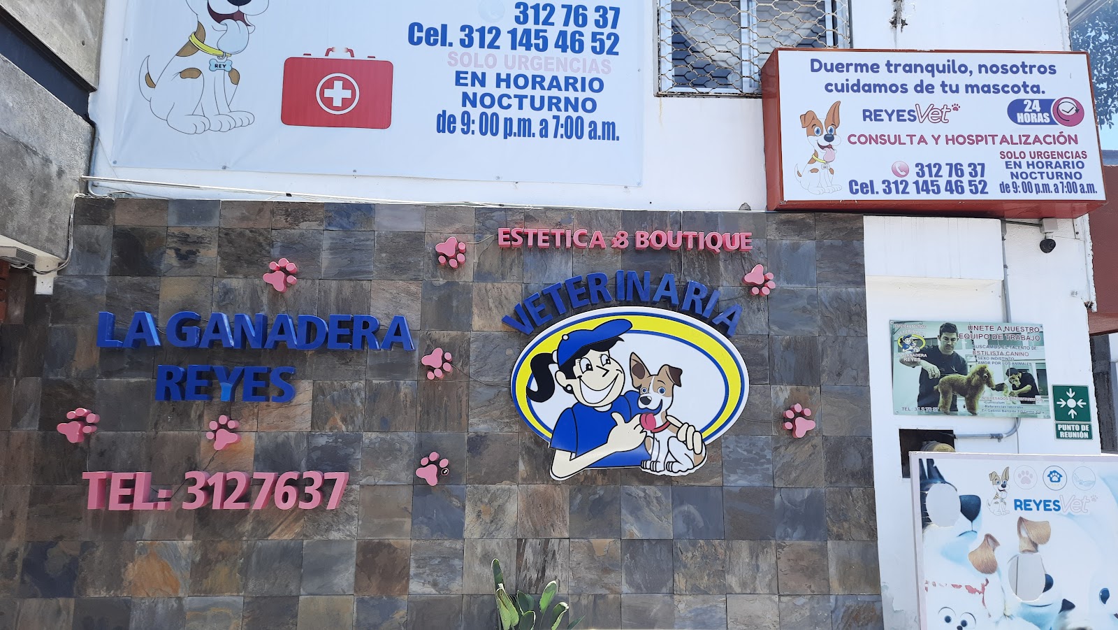 leetx-google-photo-84195-1