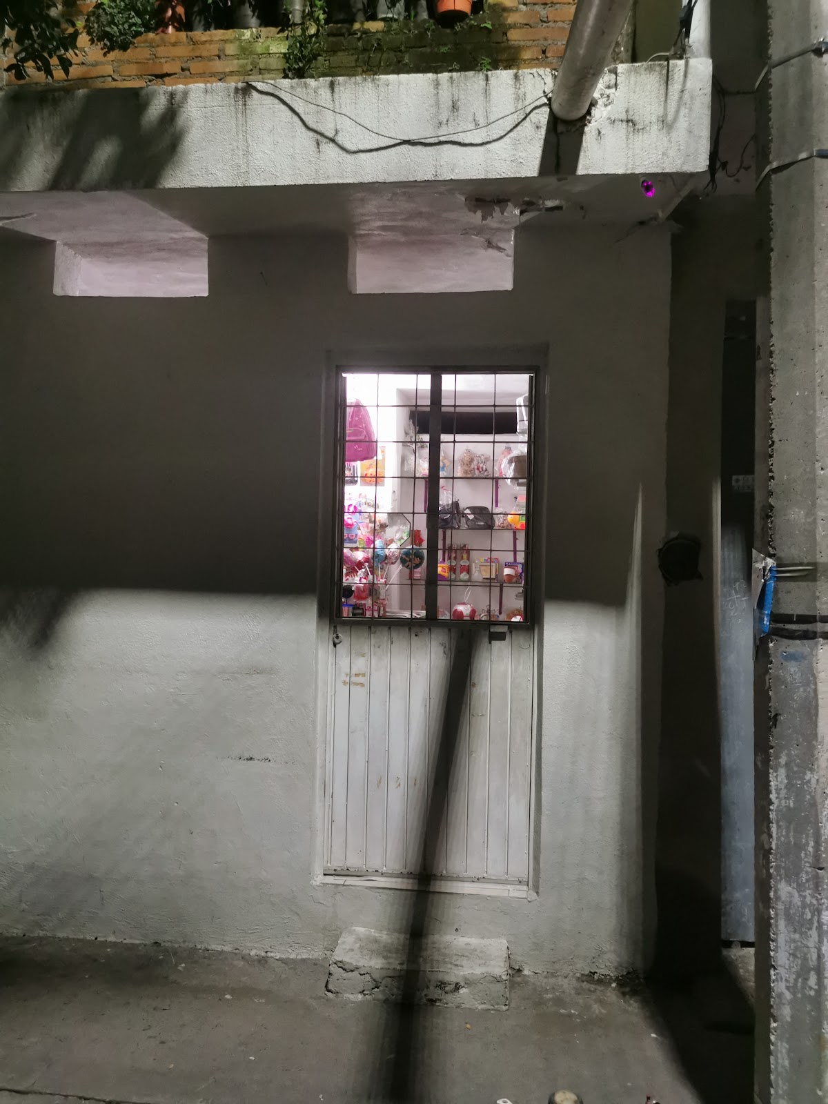 leetx-google-photo-84332-1