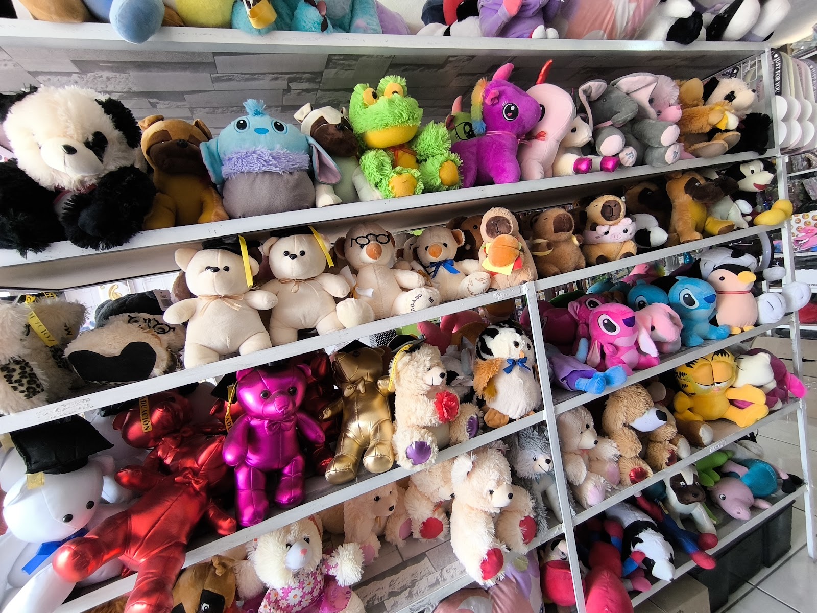 leetx-google-photo-84463-1