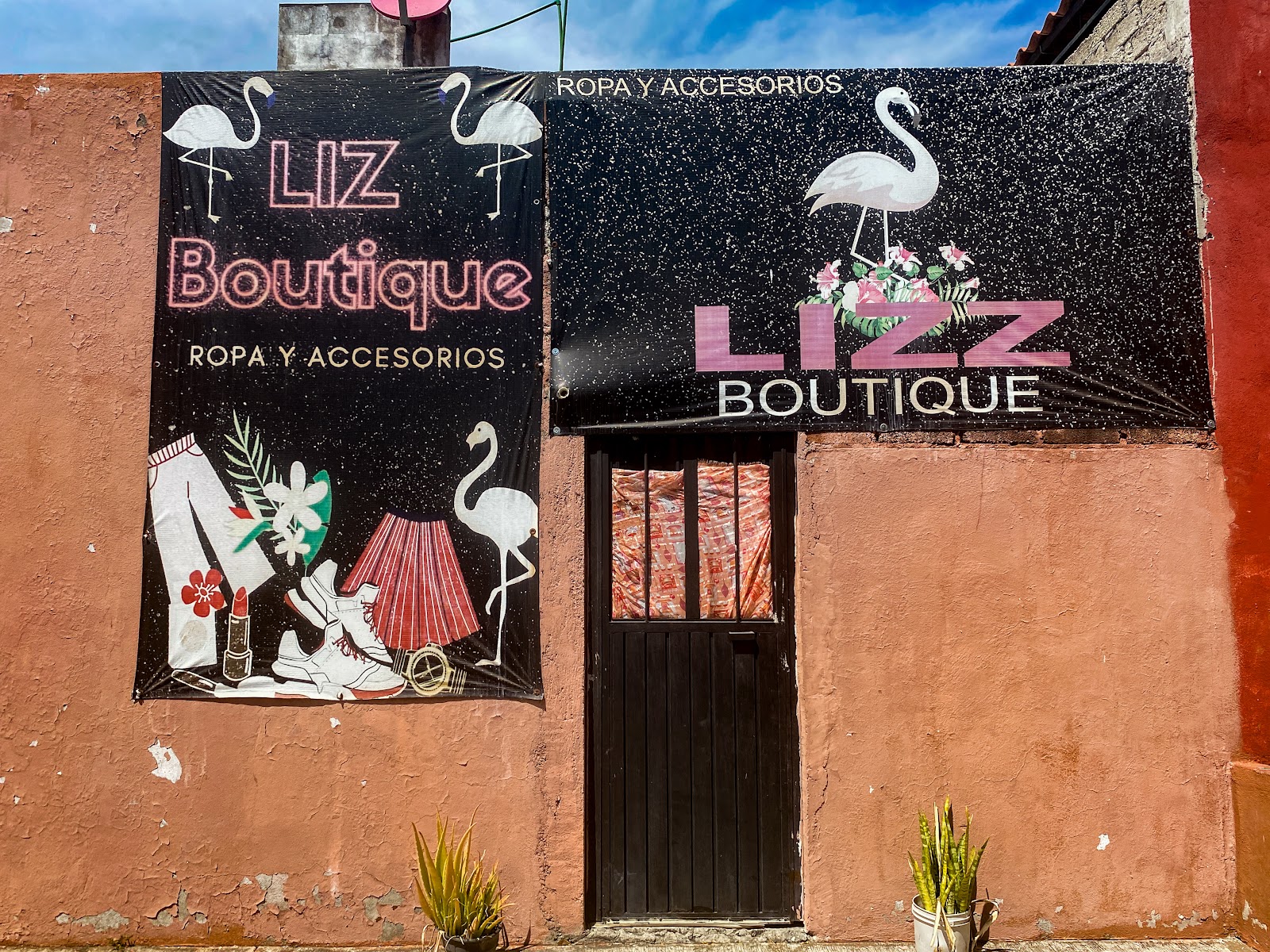 leetx-google-photo-84581-1