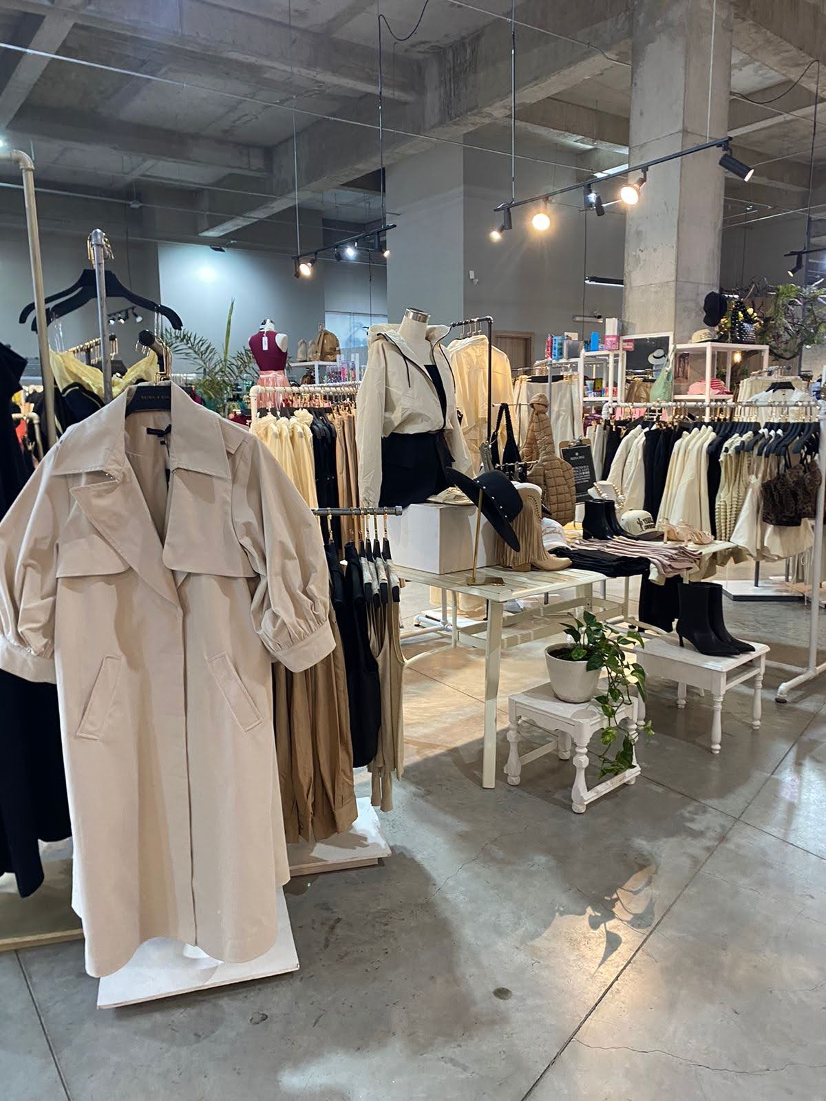 leetx-google-photo-84633-3 leetx-google-photo-84633-3